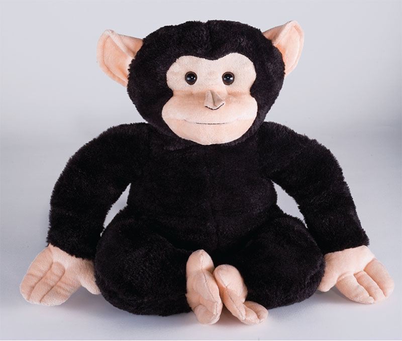 Chimp Monkey